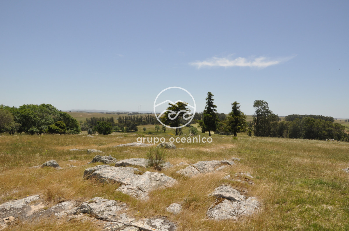 Chacra ID.9 - CHACRA 99 HECTÁREAS EN RINCÓN DE JOSÉ IGNACIO