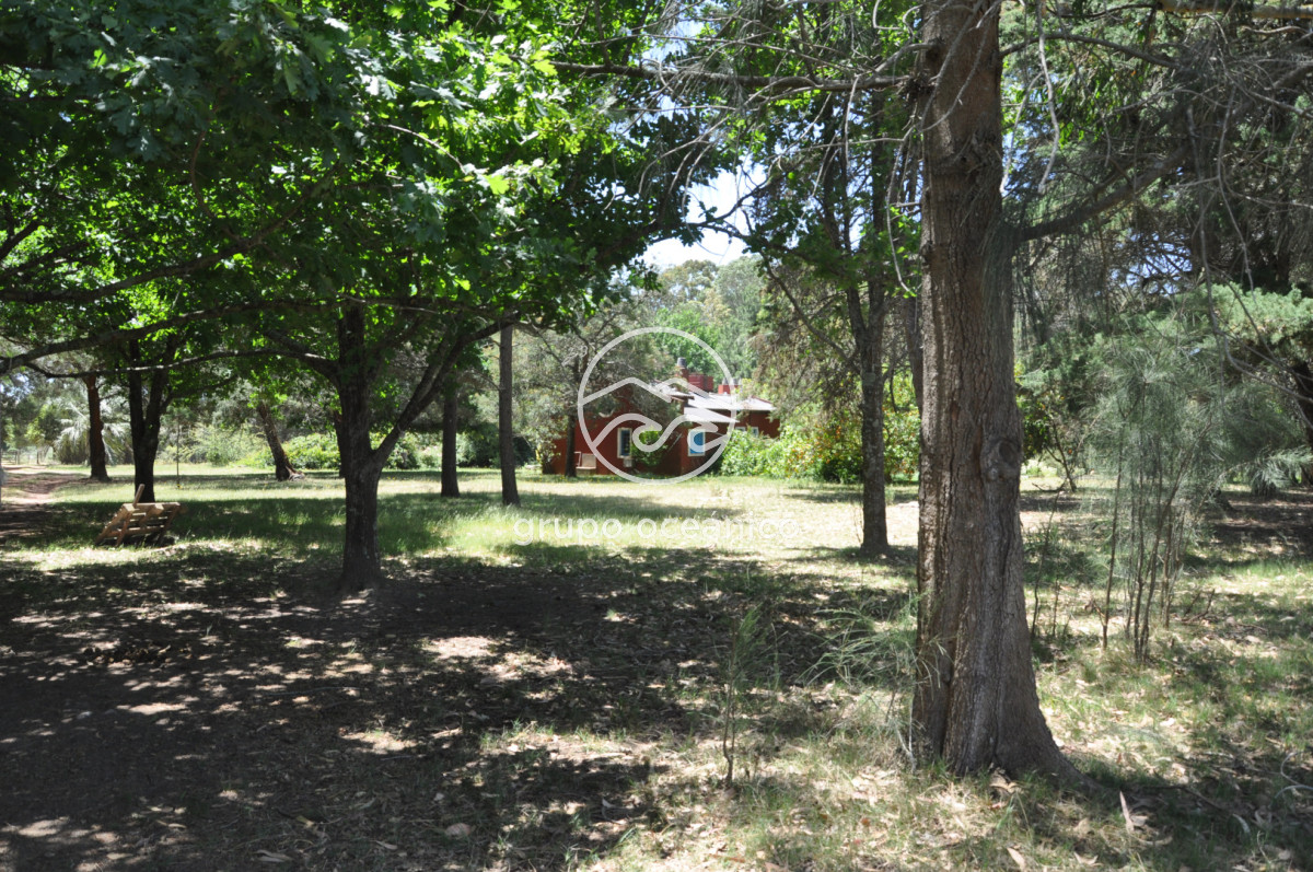 Chacra ID.9 - CHACRA 99 HECTÁREAS EN RINCÓN DE JOSÉ IGNACIO