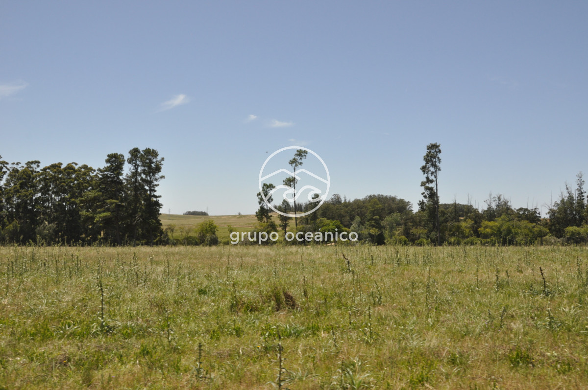 Chacra ID.9 - CHACRA 99 HECTÁREAS EN RINCÓN DE JOSÉ IGNACIO