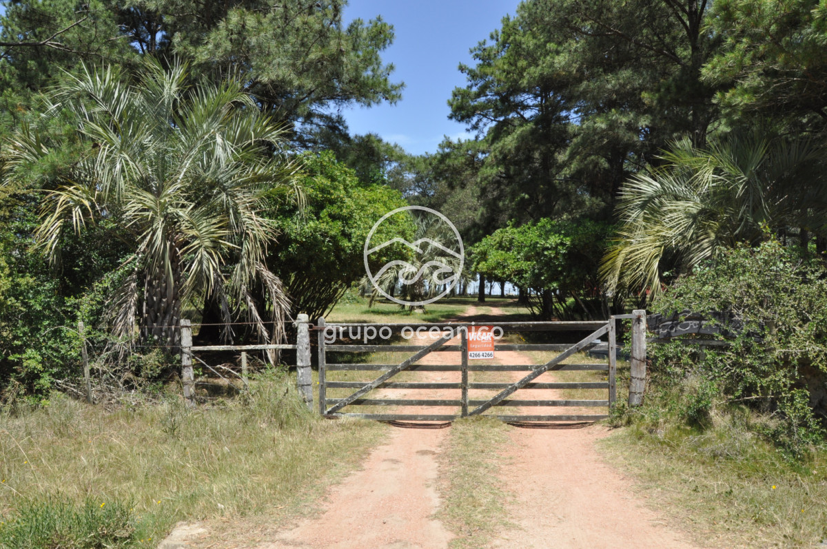 Chacra ID.9 - CHACRA 99 HECTÁREAS EN RINCÓN DE JOSÉ IGNACIO