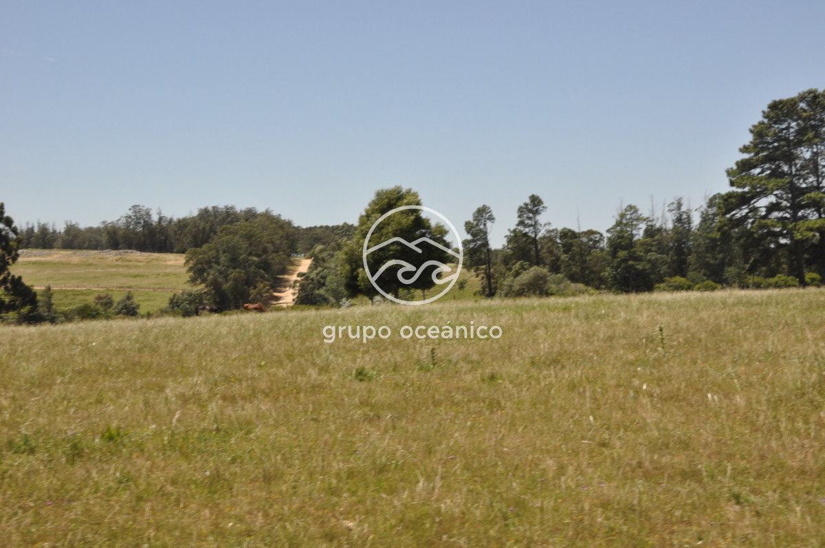 Chacra ID.9 - CHACRA 99 HECTÁREAS EN RINCÓN DE JOSÉ IGNACIO