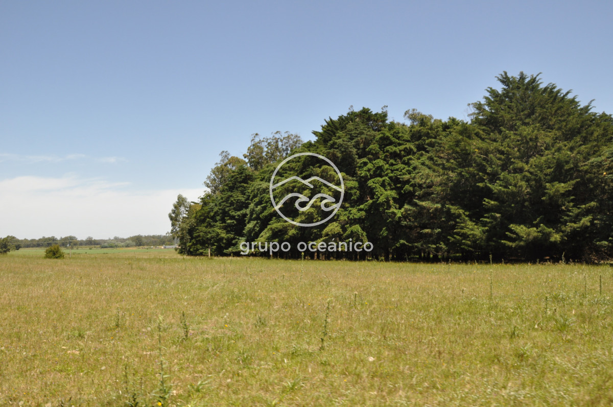 Chacra ID.9 - CHACRA 99 HECTÁREAS EN RINCÓN DE JOSÉ IGNACIO