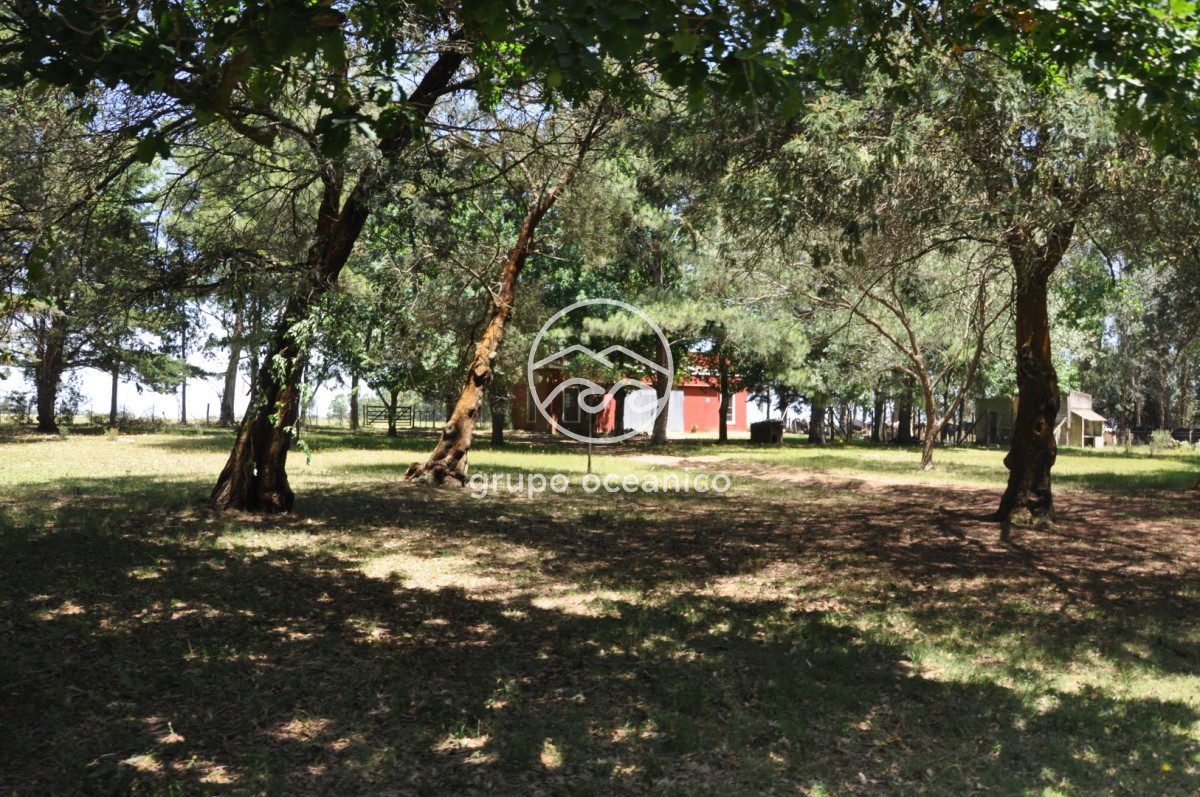 Chacra ID.9 - CHACRA 99 HECTÁREAS EN RINCÓN DE JOSÉ IGNACIO