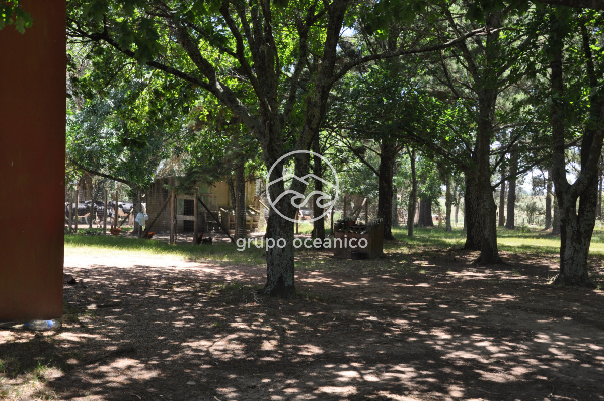 Chacra ID.9 - CHACRA 99 HECTÁREAS EN RINCÓN DE JOSÉ IGNACIO