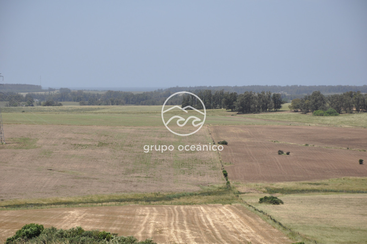 Chacra ID.9 - CHACRA 99 HECTÁREAS EN RINCÓN DE JOSÉ IGNACIO