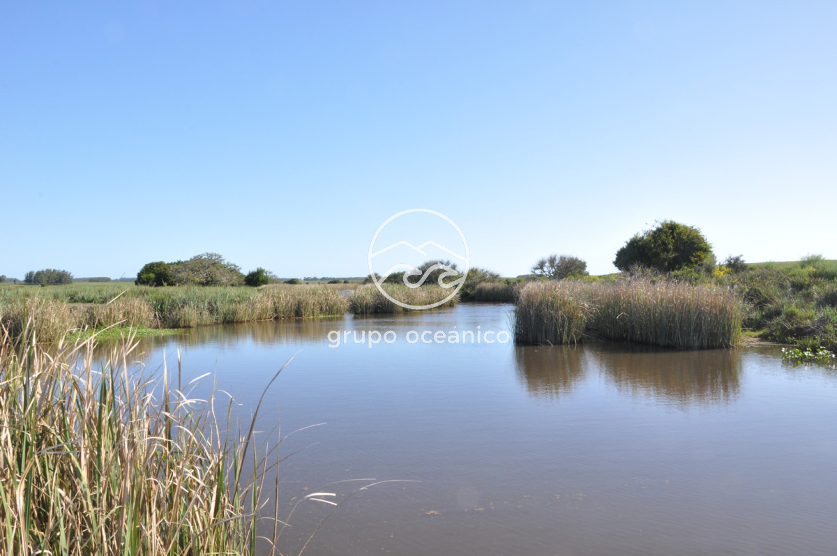 Chacra ID.10 - Chacra 138 hectáreas en Garzón Abajo