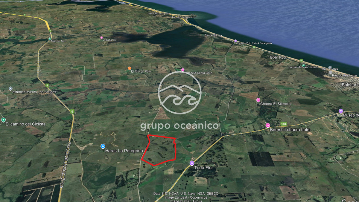 Chacra ID.9 - CHACRA 99 HECTÁREAS EN RINCÓN DE JOSÉ IGNACIO