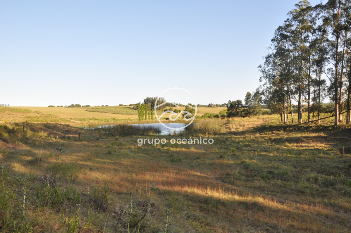 Chacra ID.16 - Chacra 30 hectáreas con construcción a 20 minutos de José Ignacio