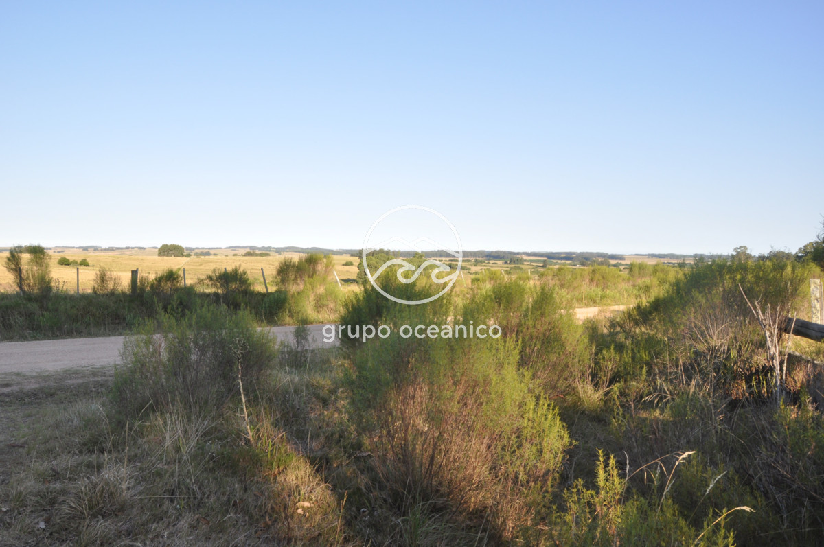 Chacra ID.16 - Chacra 30 hectáreas con construcción a 20 minutos de José Ignacio