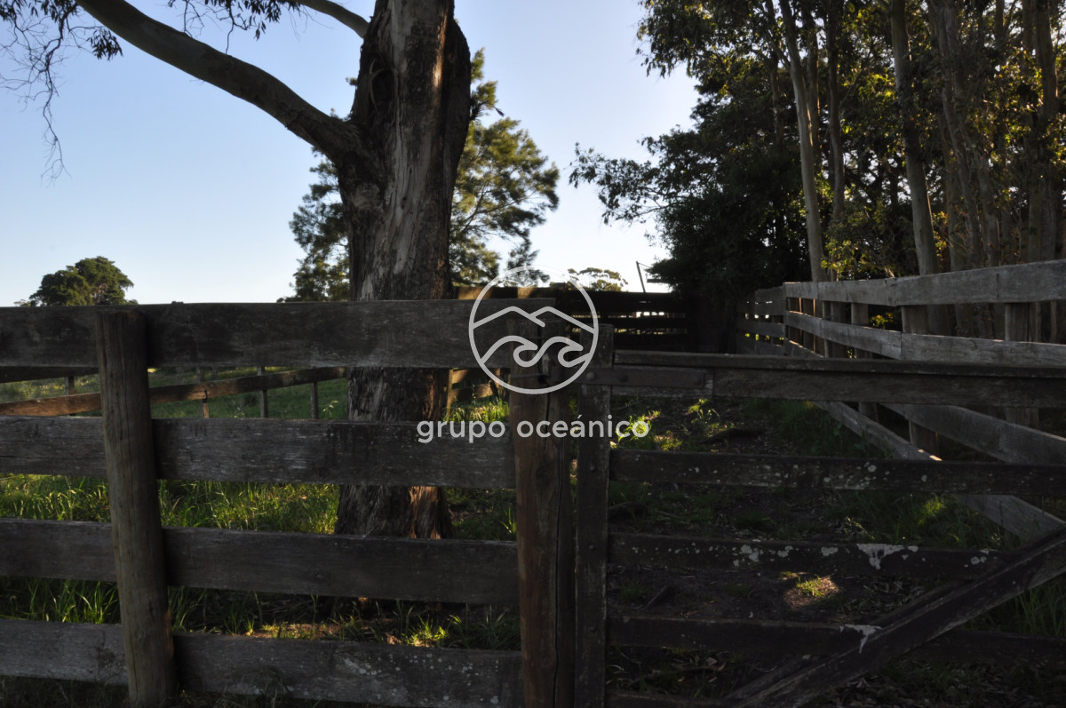 Chacra ID.10 - Chacra 138 hectáreas en Garzón Abajo