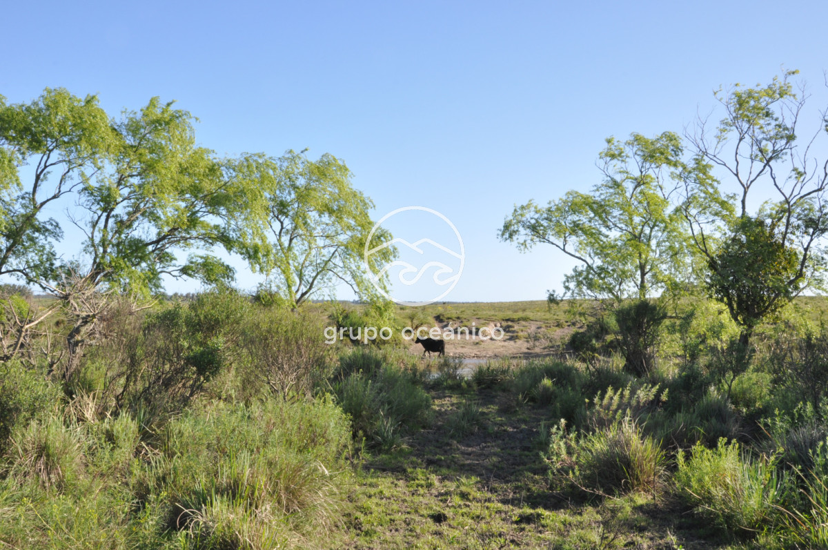 Chacra ID.10 - Chacra 138 hectáreas en Garzón Abajo