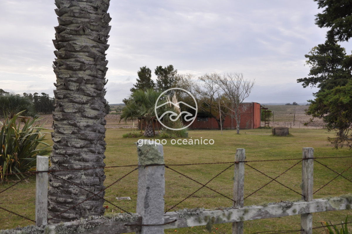 Chacra ID.52 - Chacra con 81 Há en camino a Pueblo Garzón y Ruta 9