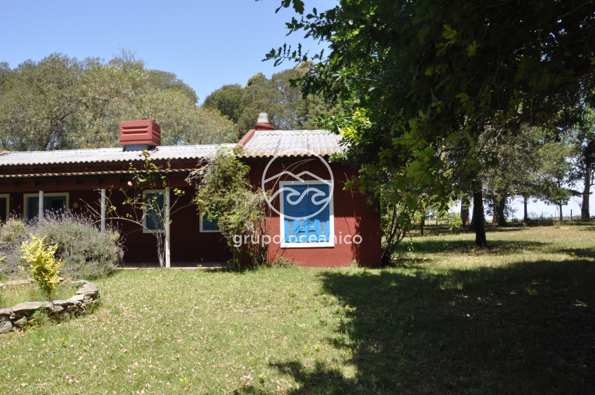 Chacra ID.9 - CHACRA 99 HECTÁREAS EN RINCÓN DE JOSÉ IGNACIO