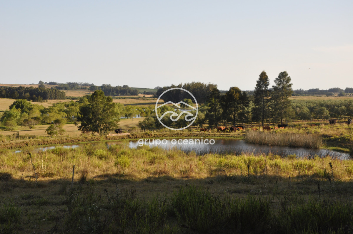 Chacra ID.16 - Chacra 30 hectáreas con construcción a 20 minutos de José Ignacio