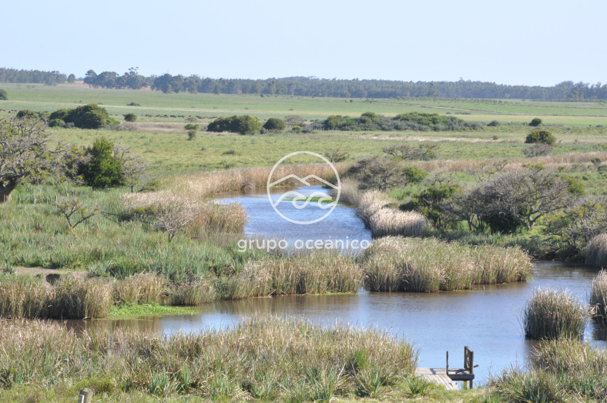 Chacra ID.10 - Chacra 138 hectáreas en Garzón Abajo