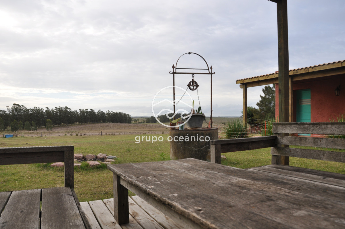 Chacra ID.52 - Chacra con 81 Há en camino a Pueblo Garzón y Ruta 9