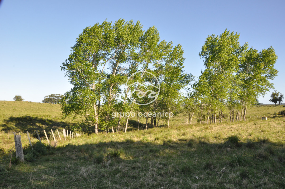 Chacra ID.10 - Chacra 138 hectáreas en Garzón Abajo