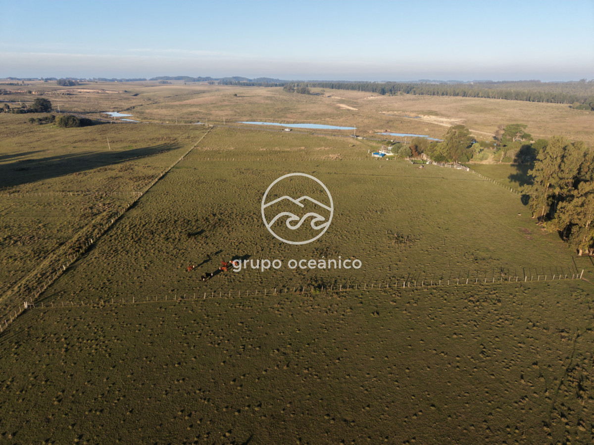 Chacra ID.62 - Chacra 3 Há sobre Sainz Martínez
