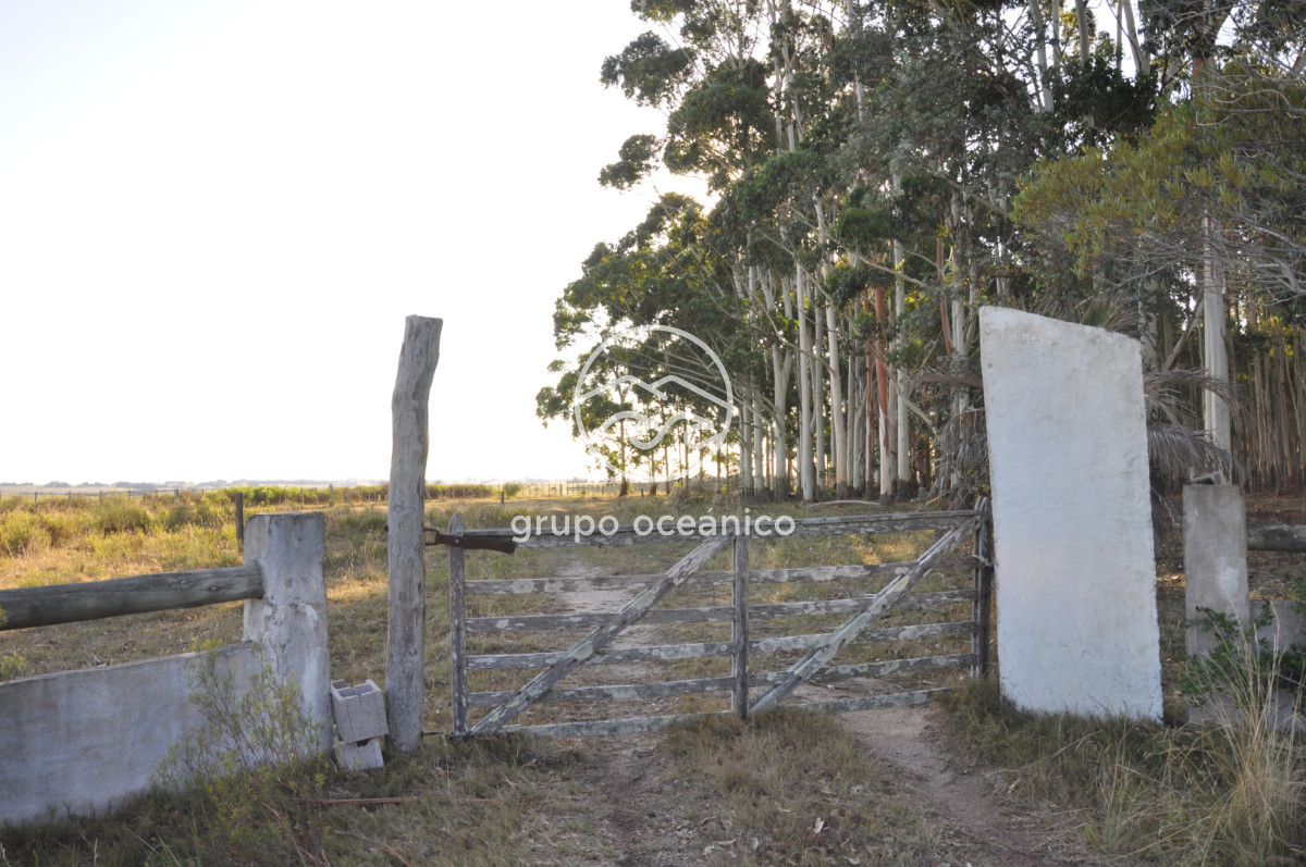 Chacra ID.16 - Chacra 30 hectáreas con construcción a 20 minutos de José Ignacio