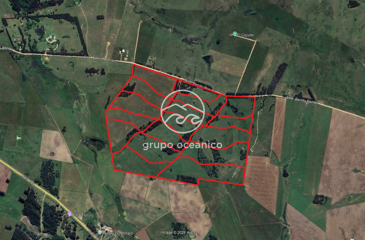 Chacra ID.9 - CHACRA 99 HECTÁREAS EN RINCÓN DE JOSÉ IGNACIO