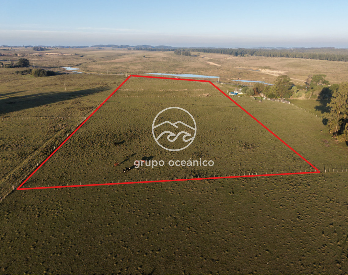 Chacra ID.62 - Chacra 3 Há sobre Sainz Martínez