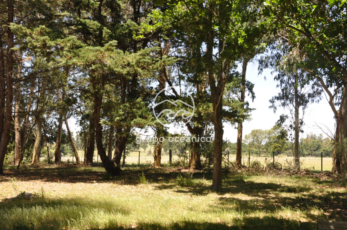 Chacra ID.9 - CHACRA 99 HECTÁREAS EN RINCÓN DE JOSÉ IGNACIO