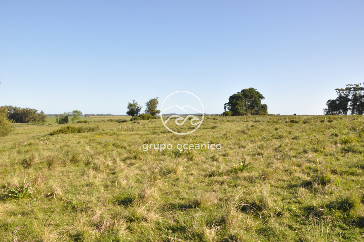 Chacra ID.10 - Chacra 138 hectáreas en Garzón Abajo