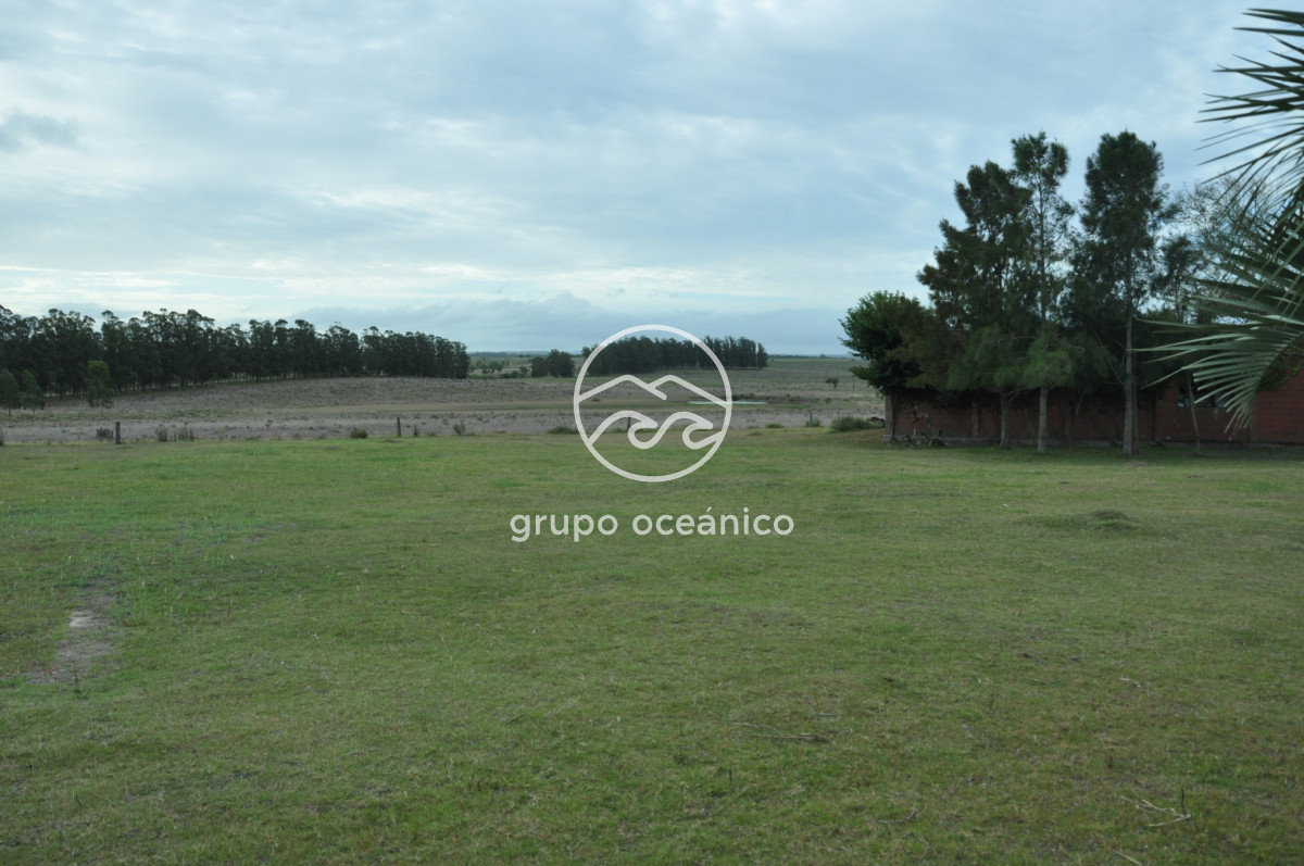 Chacra ID.52 - Chacra con 81 Há en camino a Pueblo Garzón y Ruta 9