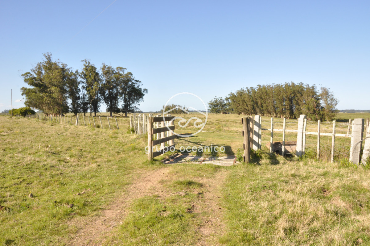 Chacra ID.10 - Chacra 138 hectáreas en Garzón Abajo