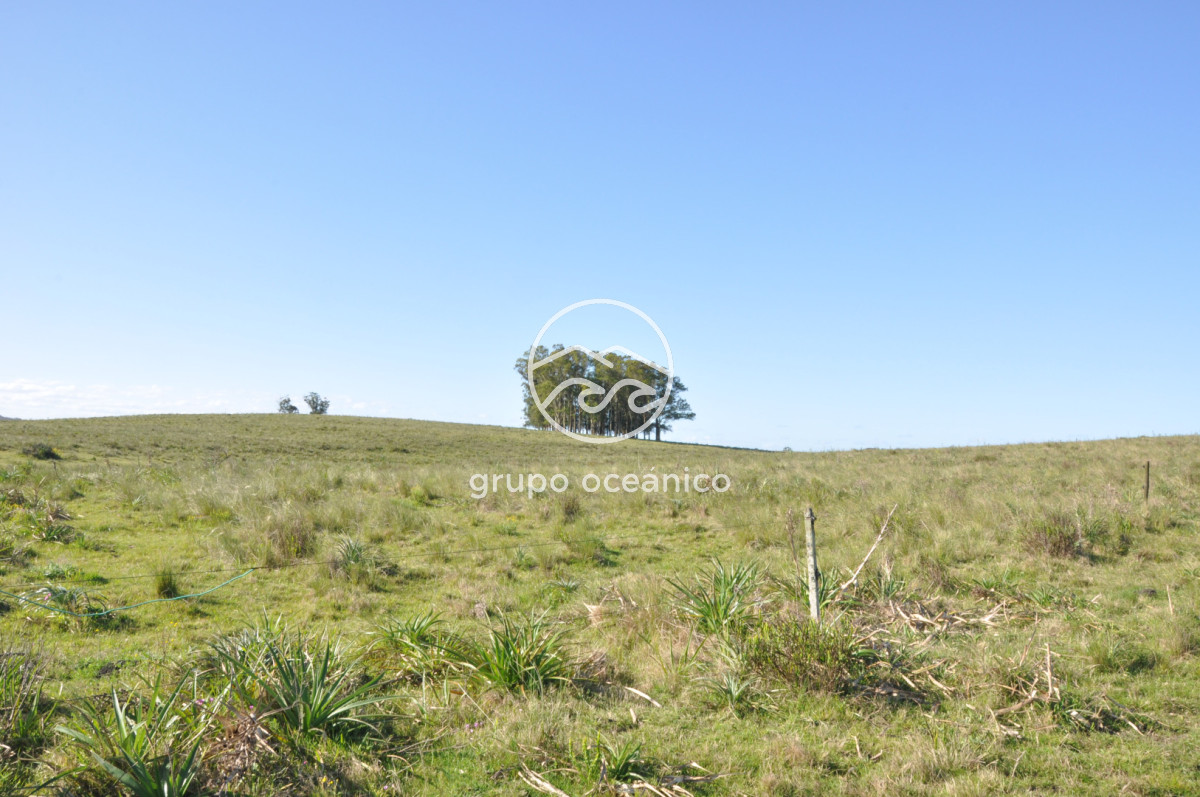 Chacra ID.10 - Chacra 138 hectáreas en Garzón Abajo