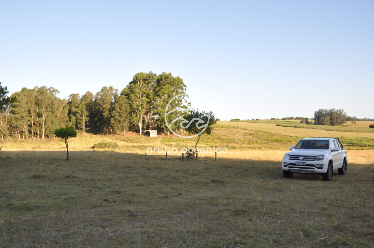Chacra ID.16 - Chacra 30 hectáreas con construcción a 20 minutos de José Ignacio