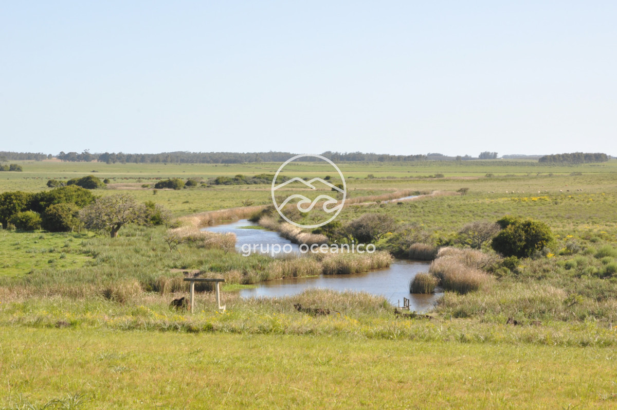 Chacra ID.10 - Chacra 138 hectáreas en Garzón Abajo