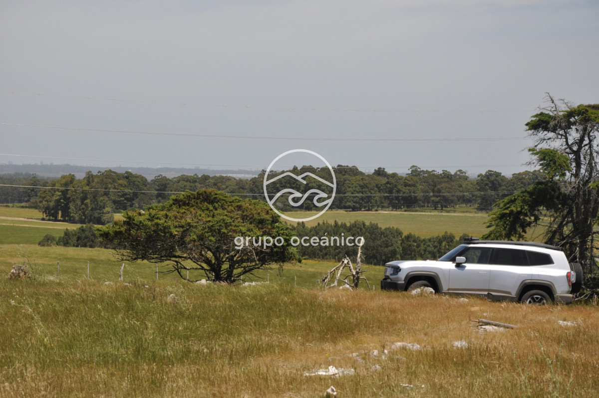 Chacra ID.9 - CHACRA 99 HECTÁREAS EN RINCÓN DE JOSÉ IGNACIO