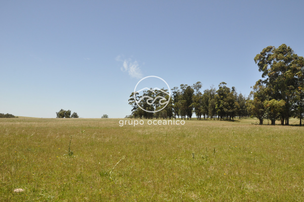 Chacra ID.9 - CHACRA 99 HECTÁREAS EN RINCÓN DE JOSÉ IGNACIO