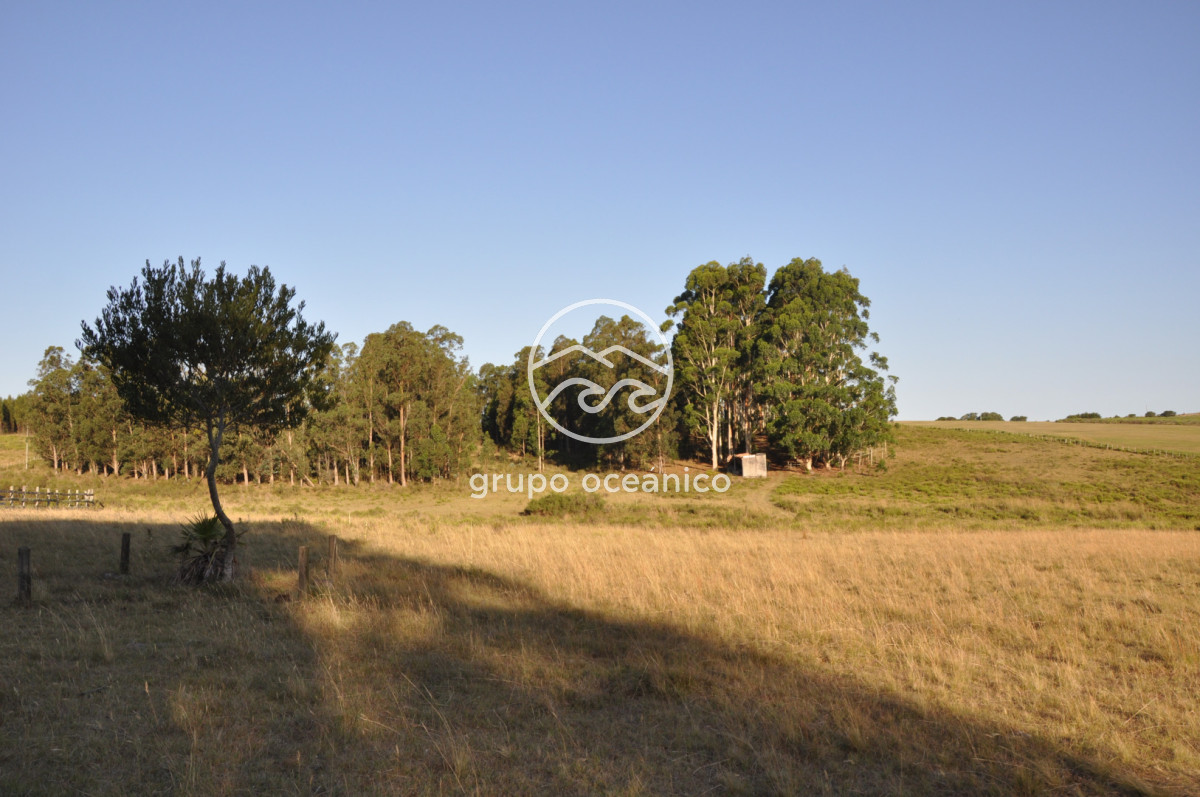 Chacra ID.16 - Chacra 30 hectáreas con construcción a 20 minutos de José Ignacio