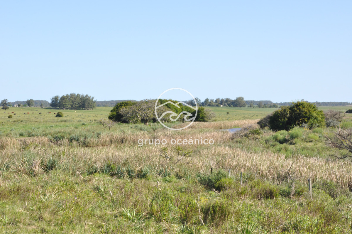 Chacra ID.10 - Chacra 138 hectáreas en Garzón Abajo