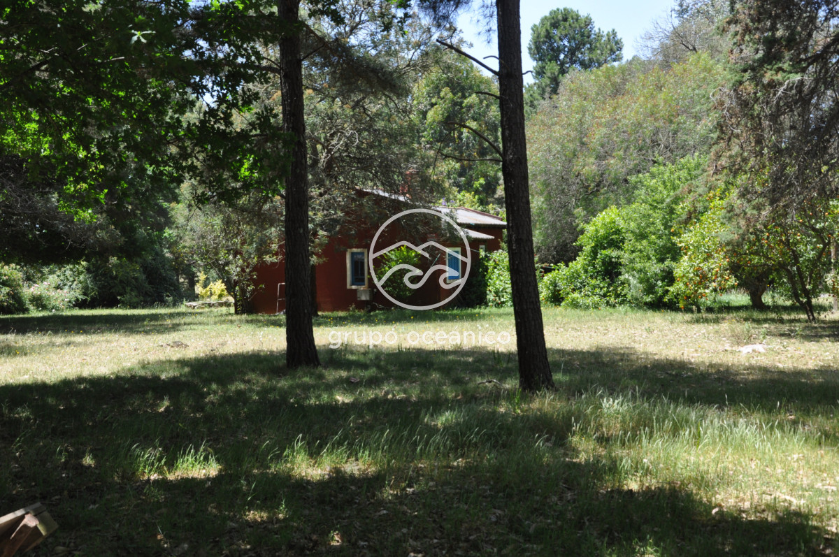 Chacra ID.9 - CHACRA 99 HECTÁREAS EN RINCÓN DE JOSÉ IGNACIO