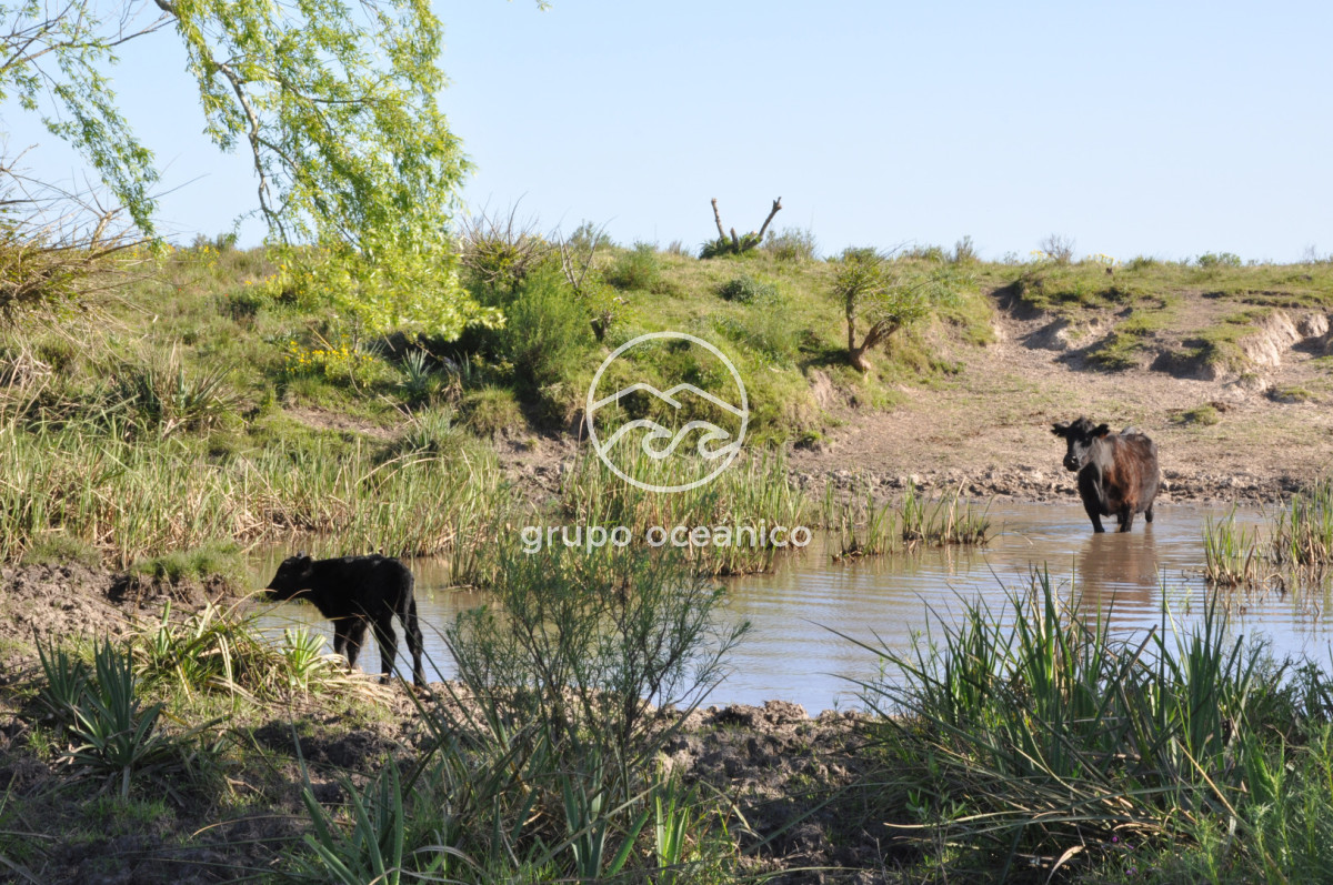 Chacra ID.10 - Chacra 138 hectáreas en Garzón Abajo