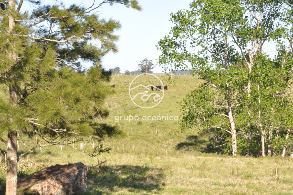 Chacra ID.10 - Chacra 138 hectáreas en Garzón Abajo