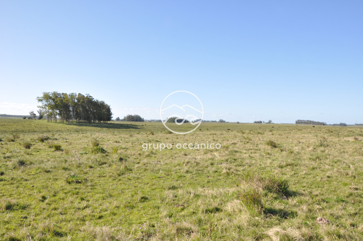 Chacra ID.10 - Chacra 138 hectáreas en Garzón Abajo