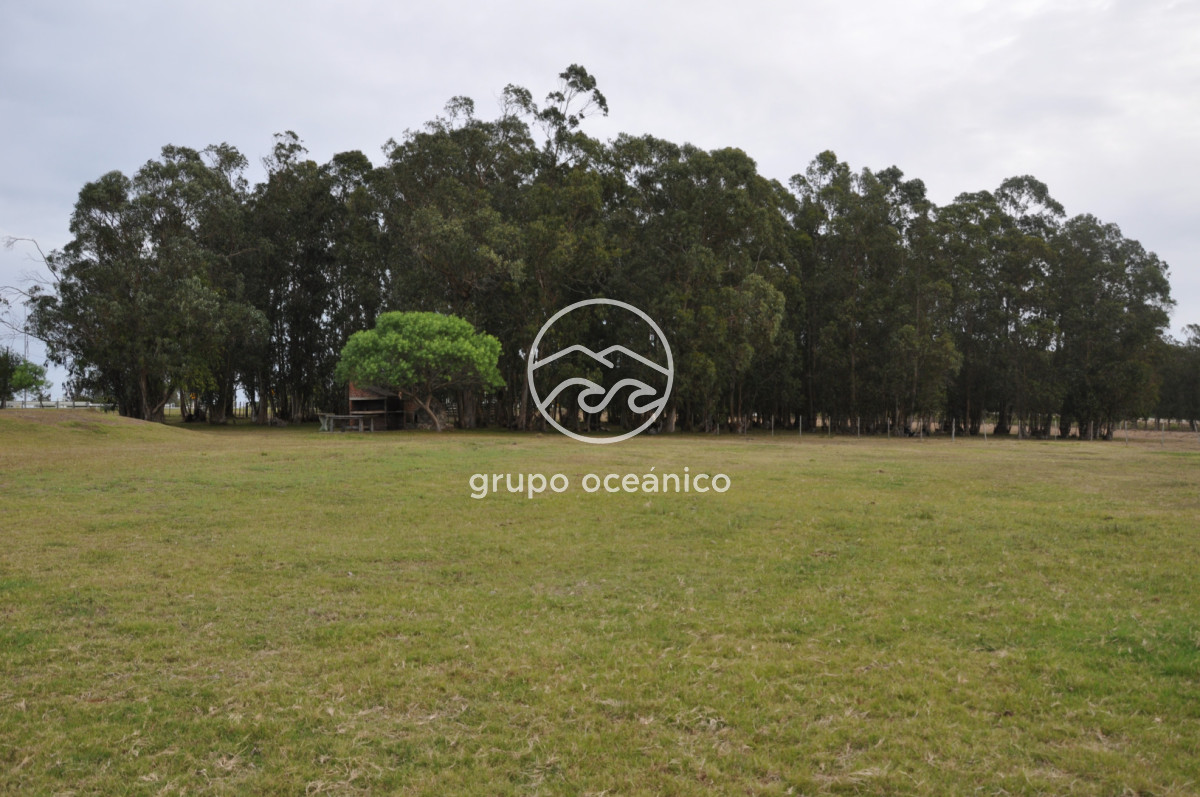 Chacra ID.52 - Chacra con 81 Há en camino a Pueblo Garzón y Ruta 9