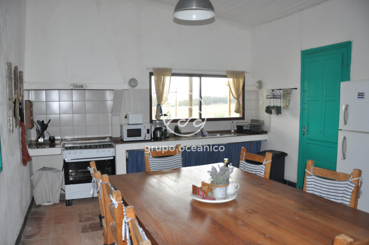 Chacra ID.52 - Chacra con 81 Há en camino a Pueblo Garzón y Ruta 9