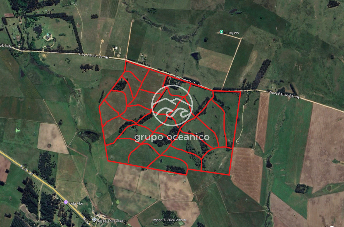 Chacra ID.9 - CHACRA 99 HECTÁREAS EN RINCÓN DE JOSÉ IGNACIO