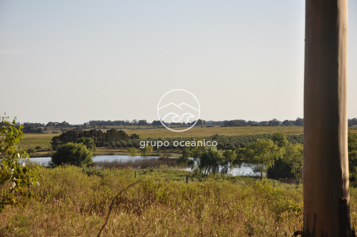 Chacra ID.16 - Chacra 30 hectáreas con construcción a 20 minutos de José Ignacio