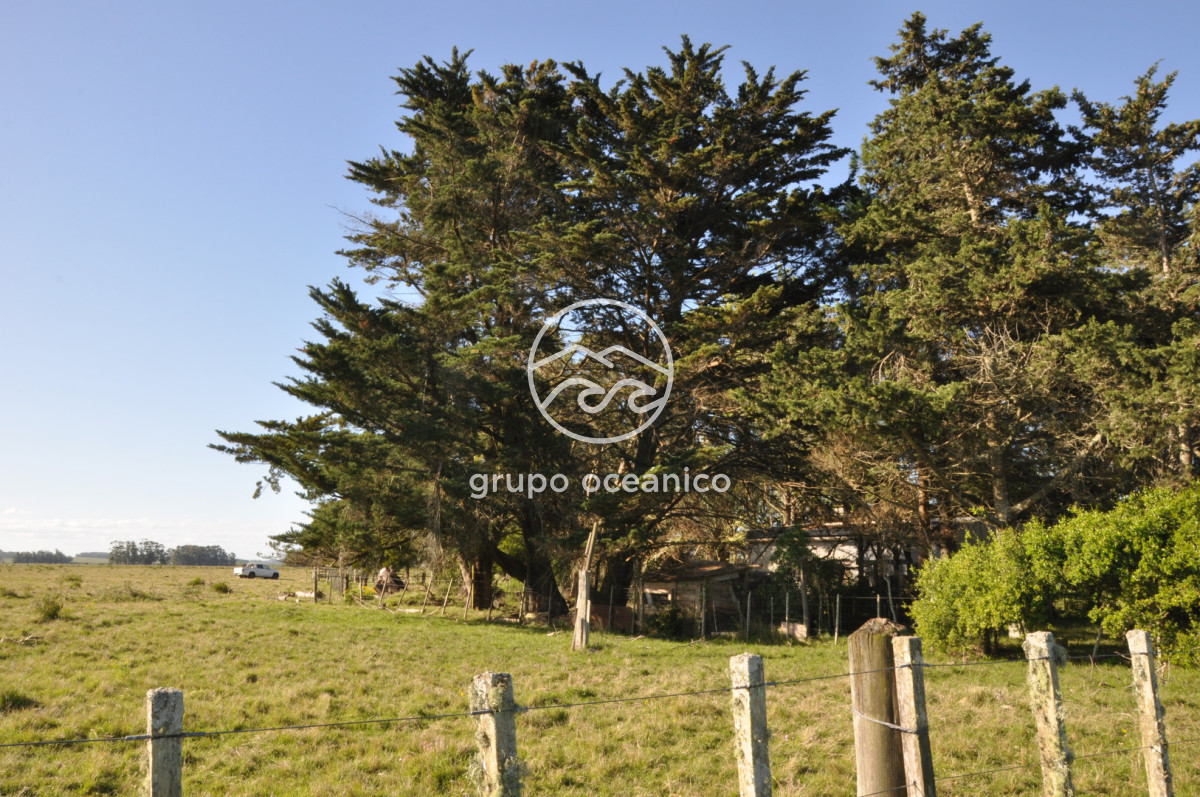 Chacra ID.10 - Chacra 138 hectáreas en Garzón Abajo