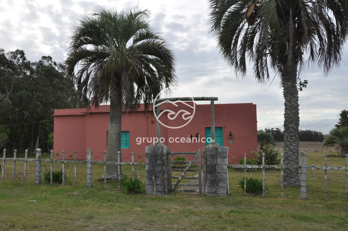 Chacra ID.52 - Chacra con 81 Há en camino a Pueblo Garzón y Ruta 9