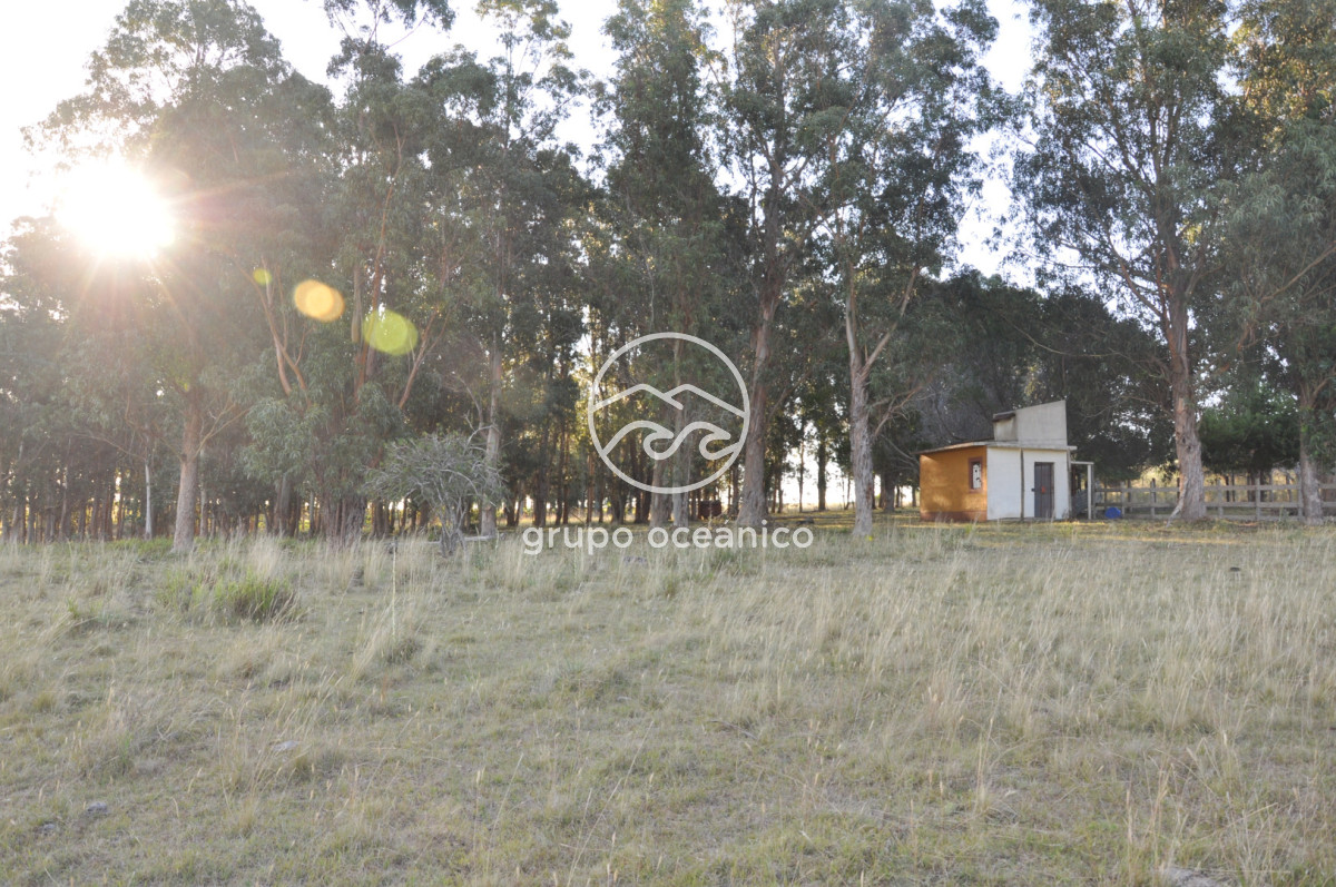 Chacra ID.16 - Chacra 30 hectáreas con construcción a 20 minutos de José Ignacio