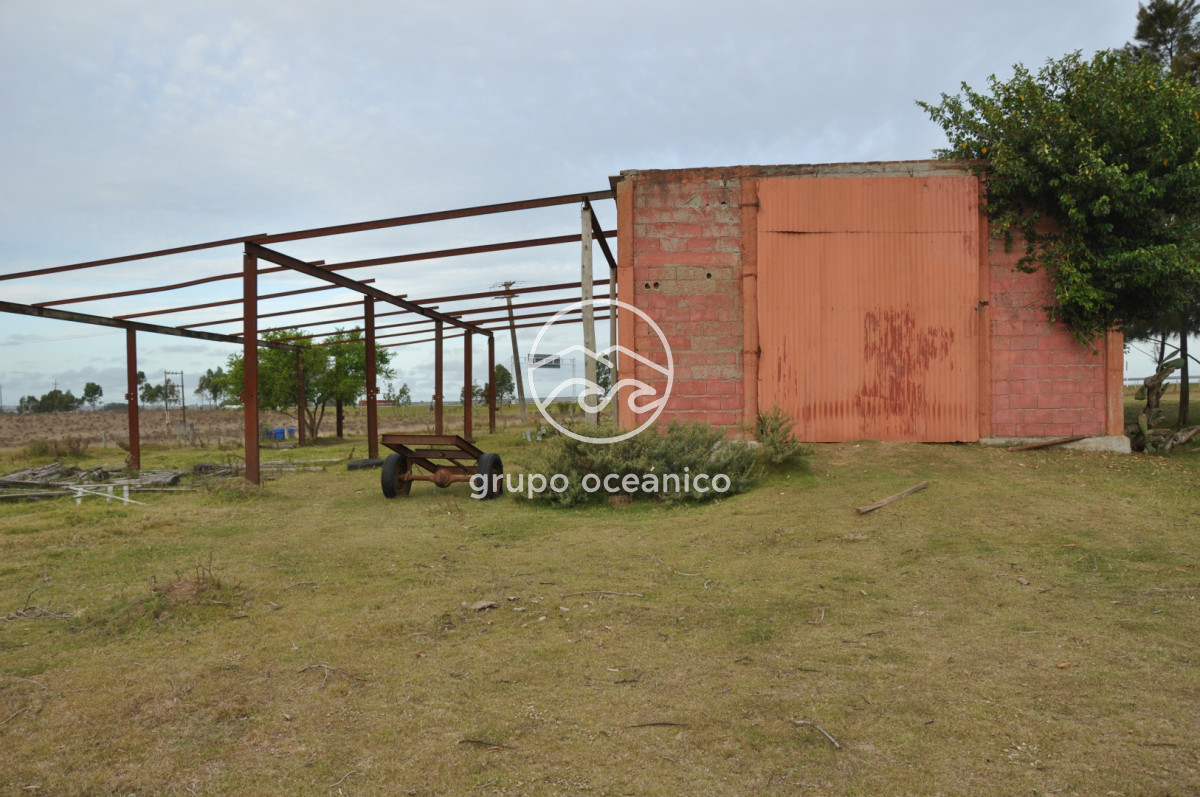 Chacra ID.52 - Chacra con 81 Há en camino a Pueblo Garzón y Ruta 9