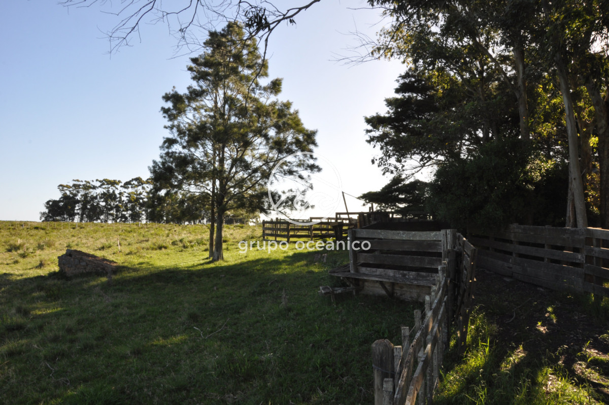 Chacra ID.10 - Chacra 138 hectáreas en Garzón Abajo