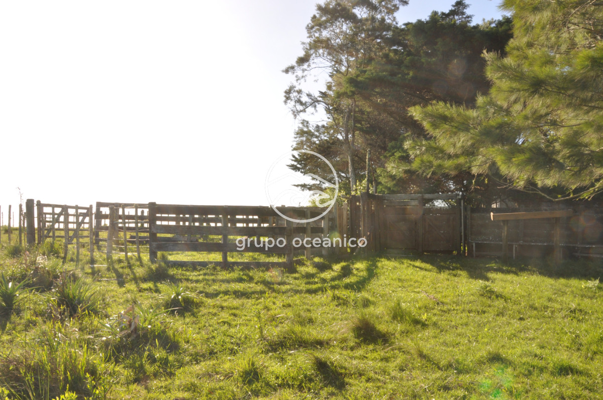 Chacra ID.10 - Chacra 138 hectáreas en Garzón Abajo